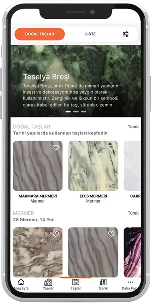 StoneArchive Mobile App