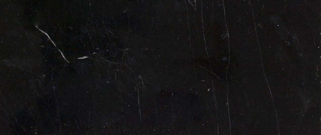 İSTANBUL DEVONIAN LIMESTONE 1