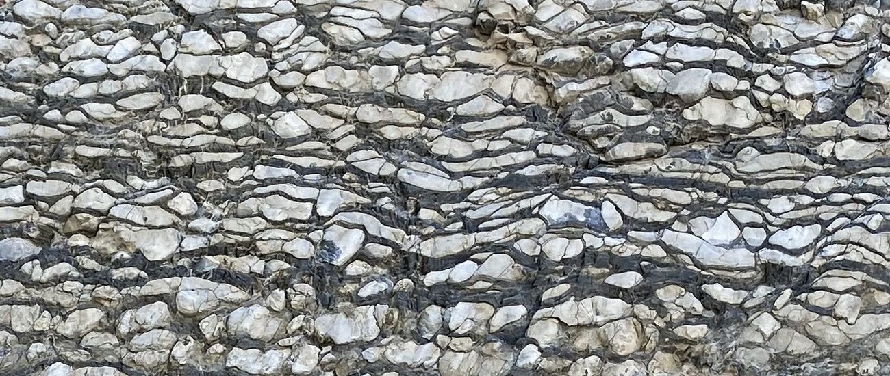 İSTANBUL DEVONIAN LIMESTONE 2