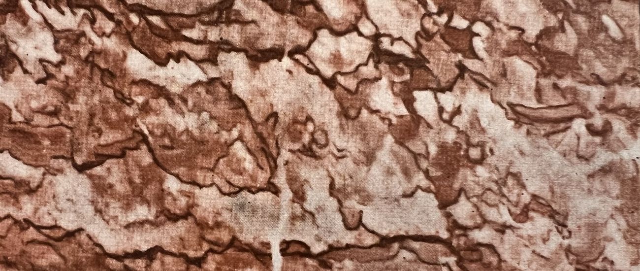 BANDIRMA BRECCIA 2