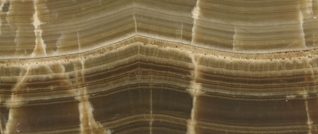 TARTARUGA ONYX 1