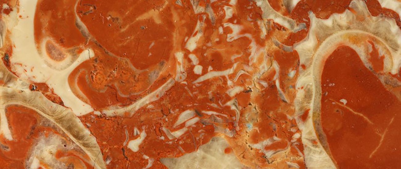 KUTLUCA RUDIST LIMESTONE 1