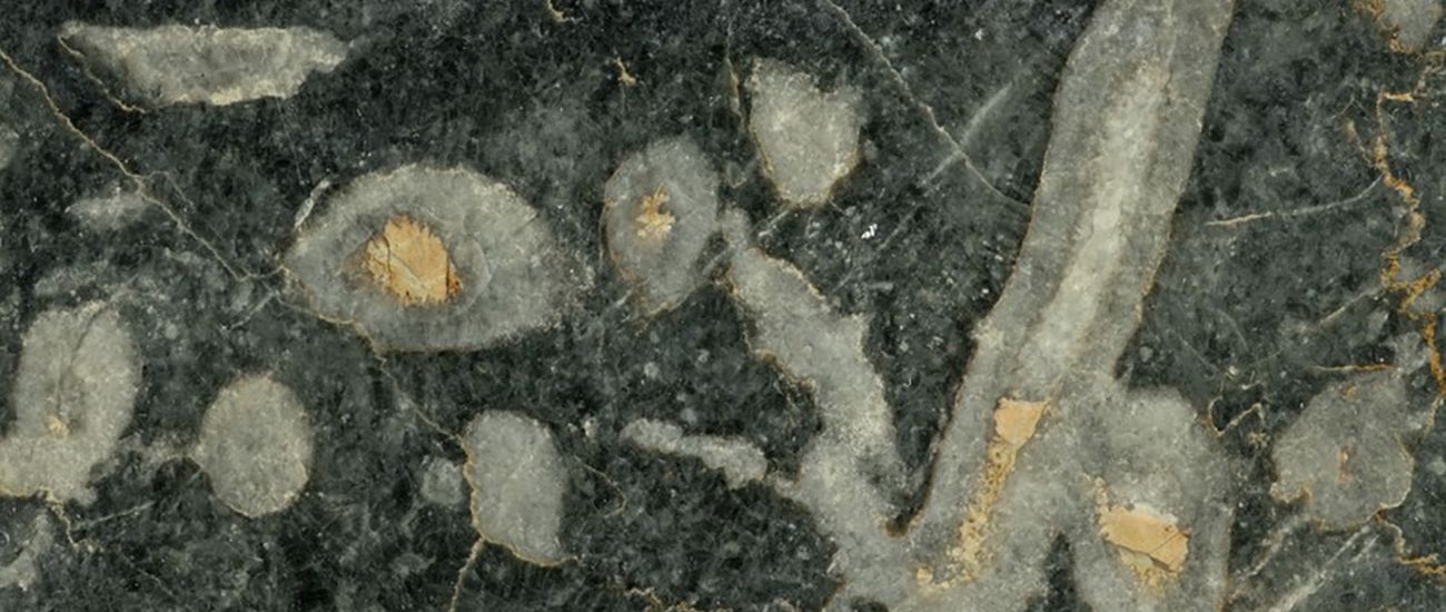 LESBOS ISLAND MARBLE 2