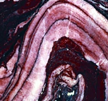 MUĞLA KIYIKIŞLACIK MARBLE