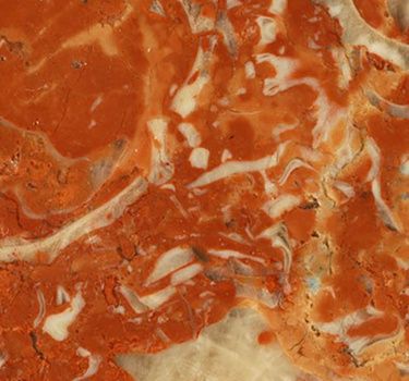 KUTLUCA RUDIST LIMESTONE